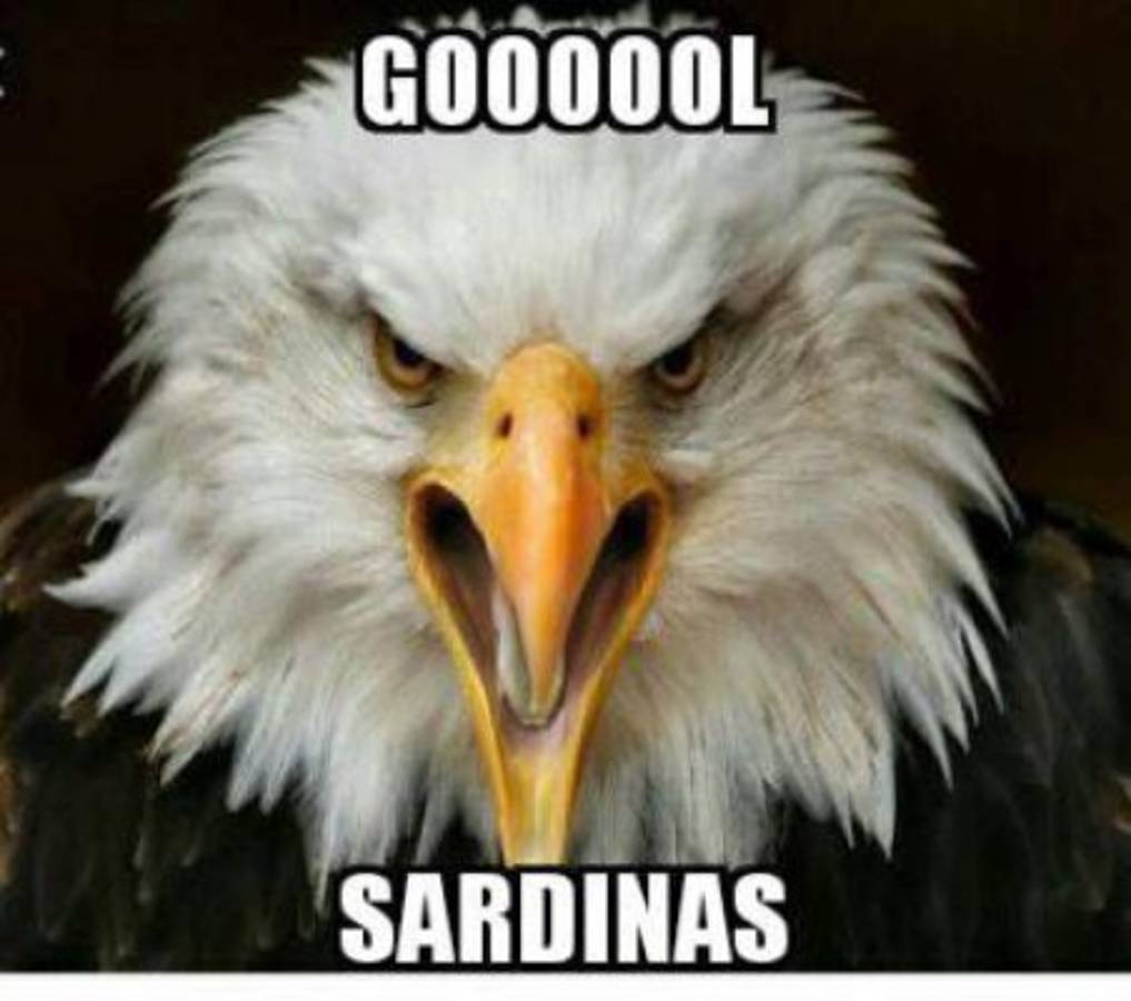 Los mejores memes de la jornada del fin de semana con Olimpia como protagonista