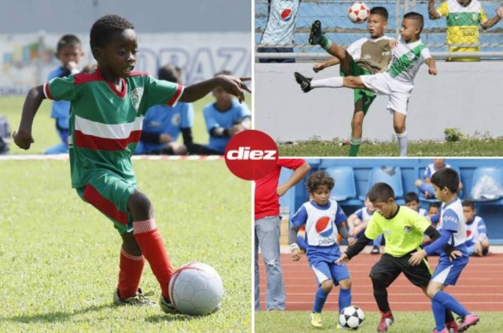 Fenafuth ordena cambio de categorías y edades en las Ligas Menores de Honduras
