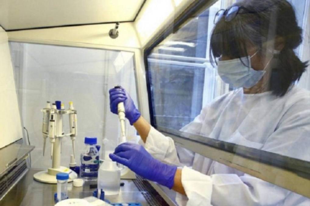 COVID-19: La viróloga que huyó de China publica un estudio que afirma que el virus fue creado en un laboratorio