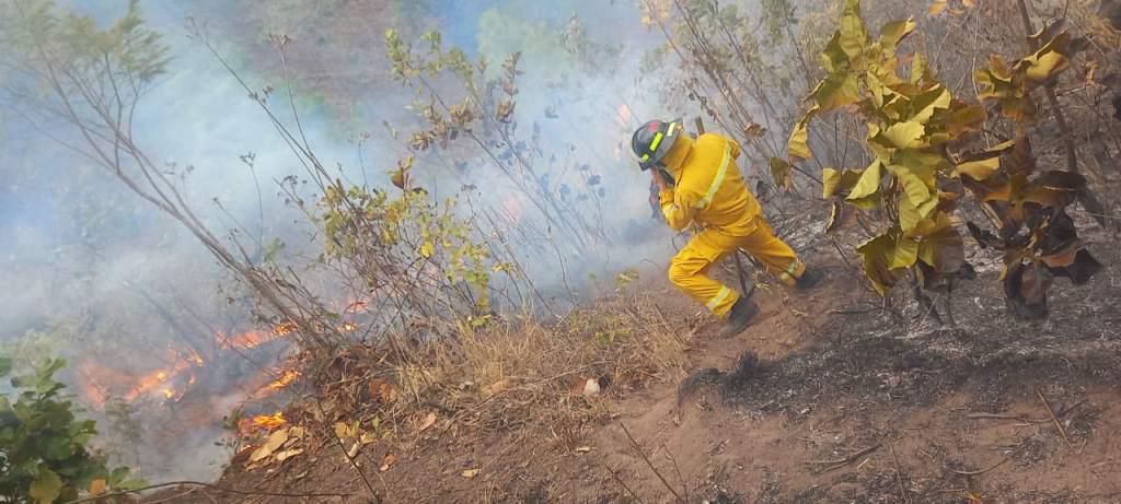¡Continúa activo! Así es el voraz incendio que no ha podido detenerse en las montañas de Santa Lucia