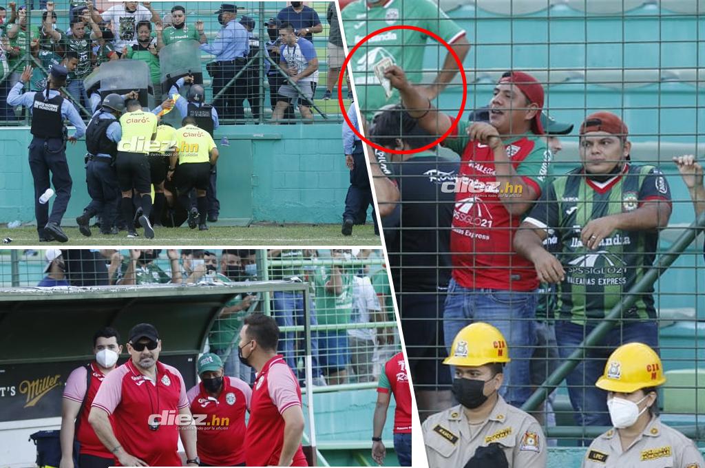 Aficionados de Marathón se van ardidos del Yankel tras derrota con Victoria y arremeten contra Tato García y el árbitro Marvin Ortiz