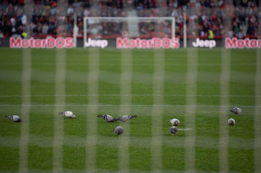 Granada-Bilbao se suspende por la muerte de un aficionado: falleció de un paro cardíaco y luchaba contra el cáncer (Fotos)