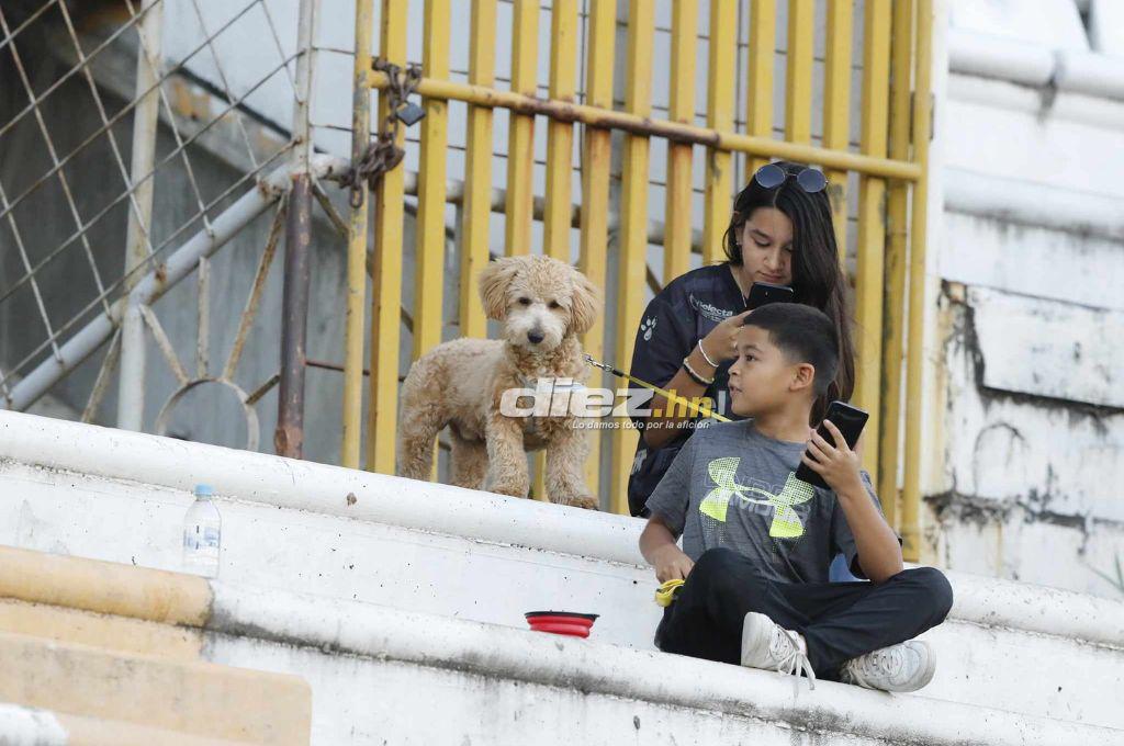 Piden la salida de Falero, el youtuber estadounidense que llegó al Olímpico y lo que pasó con hincha de Real España
