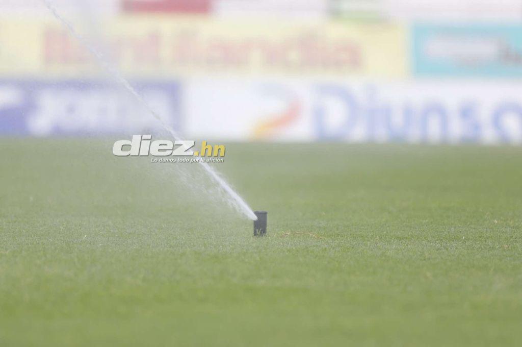 ¡Espectacular! Así luce la nueva grama del estadio Yankel Rosenthal; rectificación de medidas y 100% natural