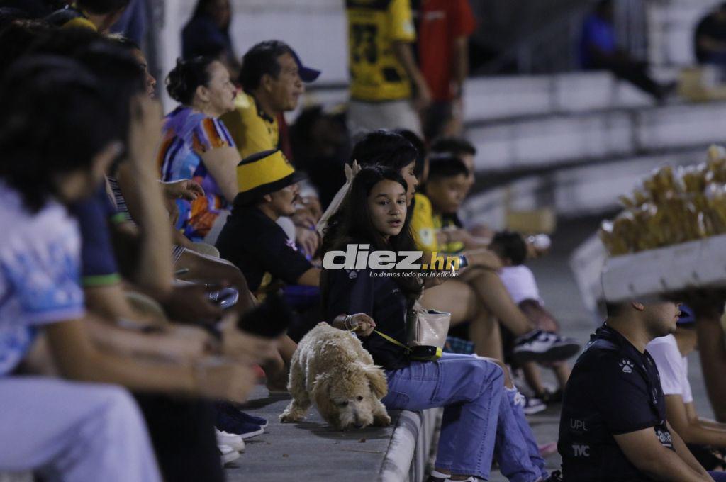 Piden la salida de Falero, el youtuber estadounidense que llegó al Olímpico y lo que pasó con hincha de Real España