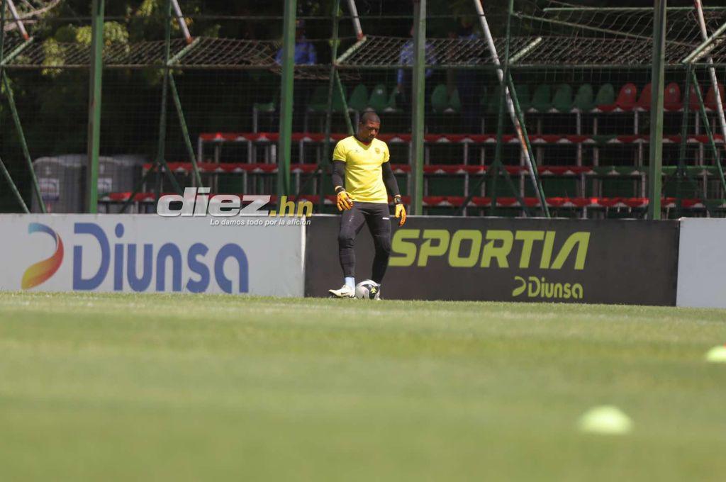 ¡Espectacular! Así luce la nueva grama del estadio Yankel Rosenthal; rectificación de medidas y 100% natural