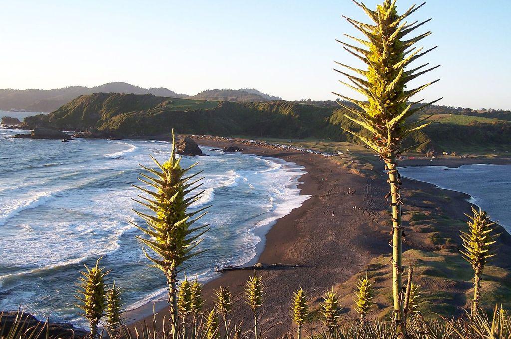 Sede de la Quinta Vergara y famosos artistas la aman: Esta es la hermosa ciudad dónde Honduras hará su debut en los Panamericanos 2023