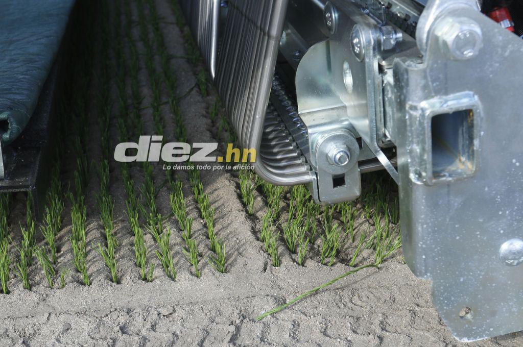 Así inició la instalación de la nueva grama híbrida del estadio Morazán en presencia de la presidenta Xiomara Castro