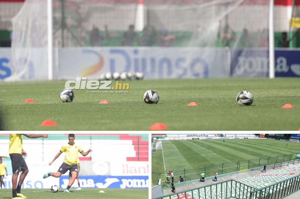 ¡Espectacular! Así luce la nueva grama del estadio Yankel Rosenthal; rectificación de medidas y 100% natural