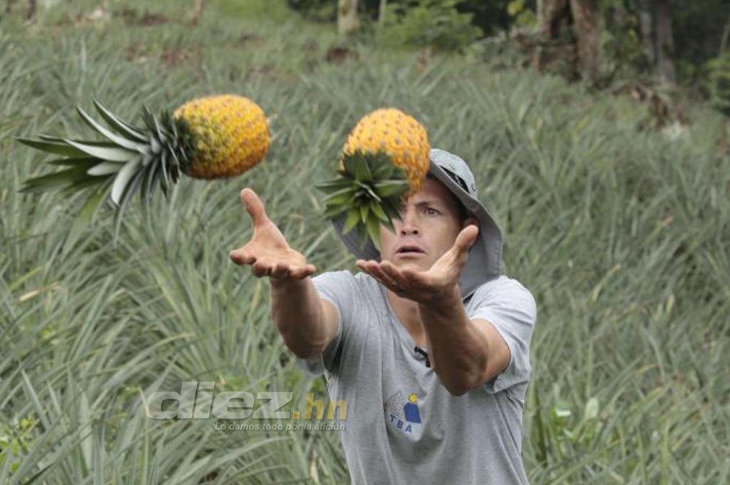 Francisco trabaja en el agro desde los seis años cultivando piñas (Foto Neptalí Romero)