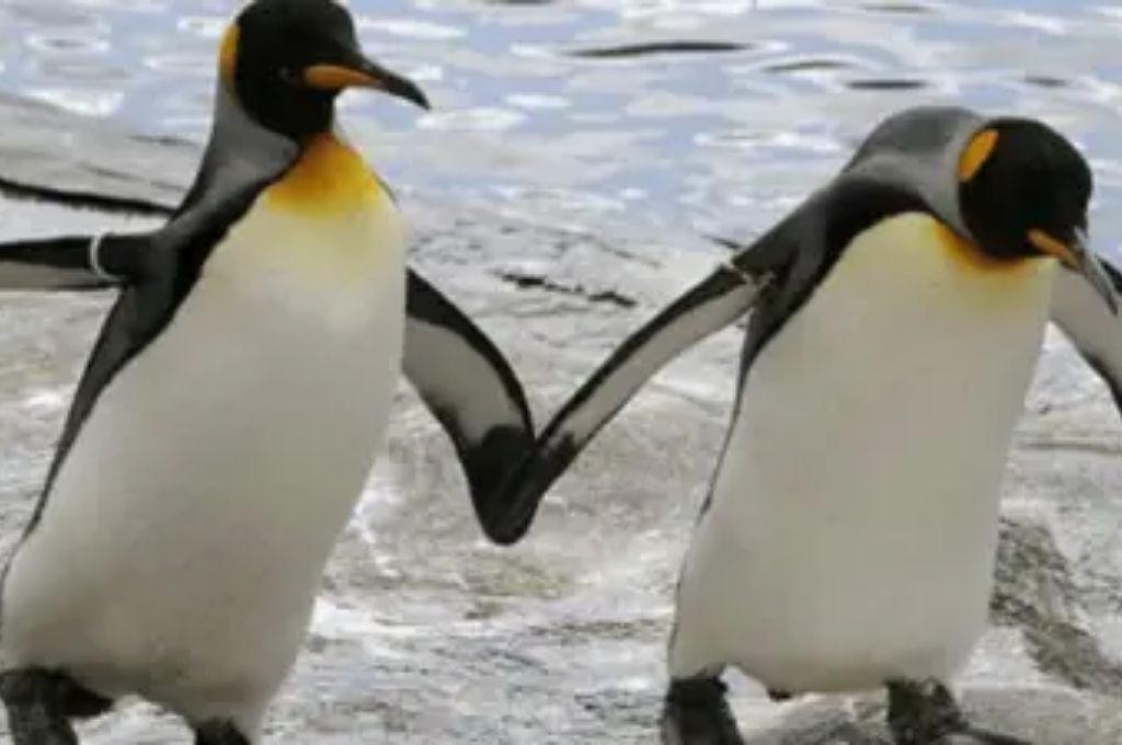 Fue declarado muerto tres veces, secuestró un pingüino y terminó en la cárcel: la inédita historia de un rival de Messi en la MLS