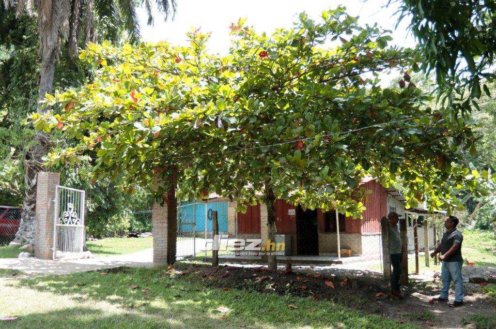 Lo que no sabes de Marco Aceituno: La revelación sobre Romell Quioto, la liga en que quiere jugar y los largos viajes de noche