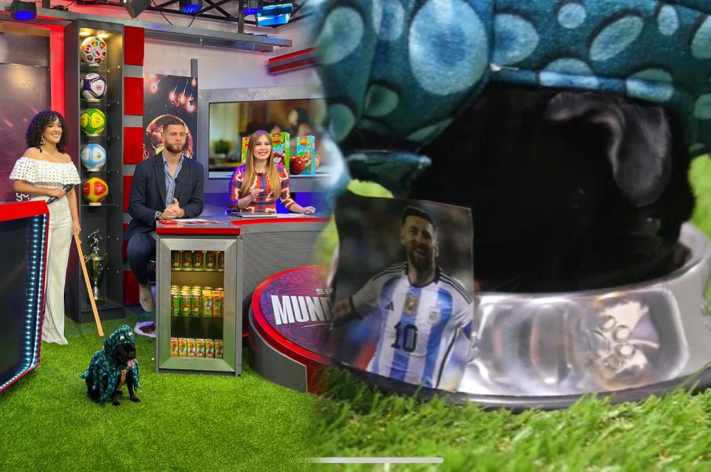 Las primeras predicciones del Pulpo Pug en el estreno del Show Mundialista: jugador figura y campeón en Qatar