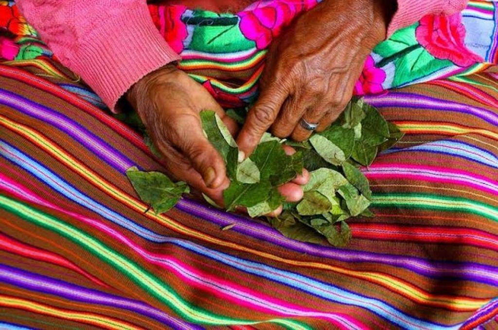 Hojas de coca predicen la selección que ganará en el repechaje rumbo al Mundial 2026