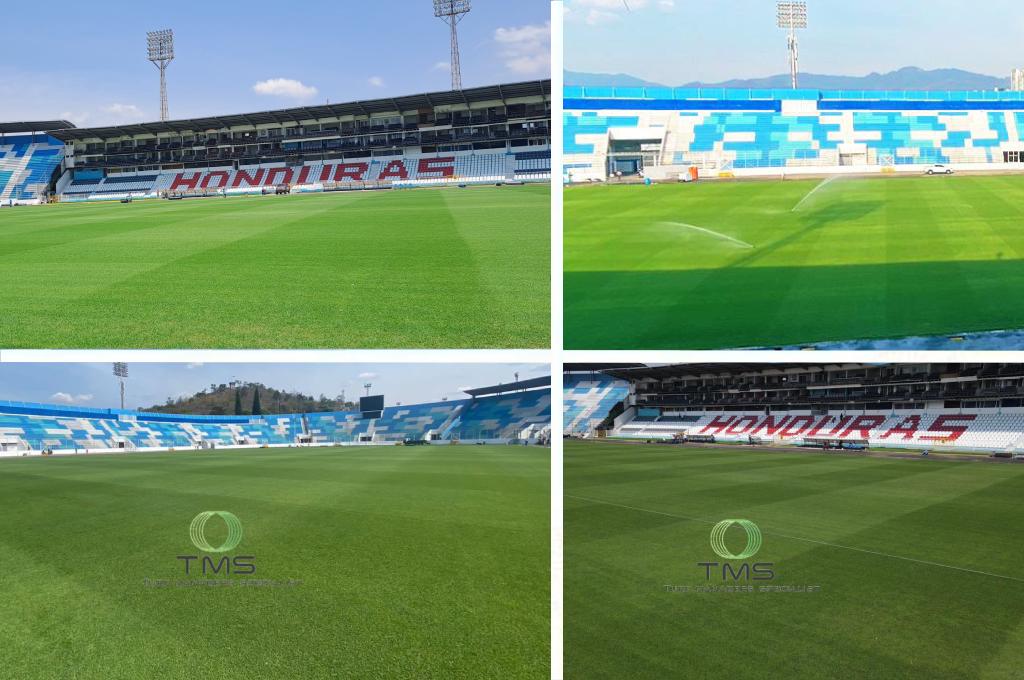 ¡Mesa de billar! Así luce la nueva cancha del Estadio Nacional Chelato Uclés: ¿la mejor grama de Centroamérica?