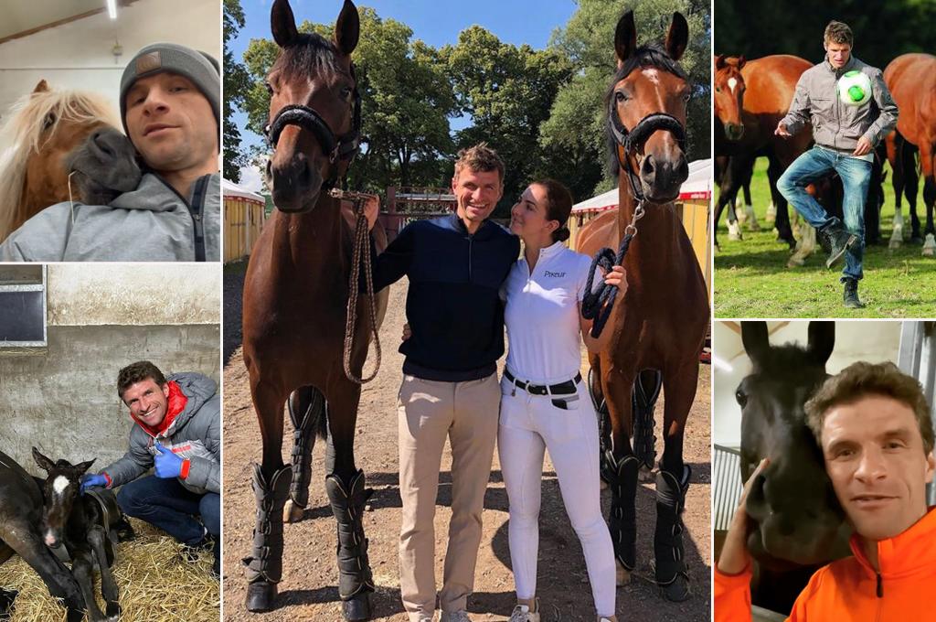 El insólito negocio de Thomas Müller: acusado de maltrato animal por dejar que sus caballos tengan “actos sexuales antinaturales”