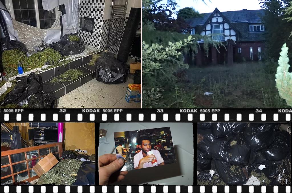Youtuber se cuela a la mansión de un crack y se lleva tremenda sorpresa: una plantación industrial de marihuana