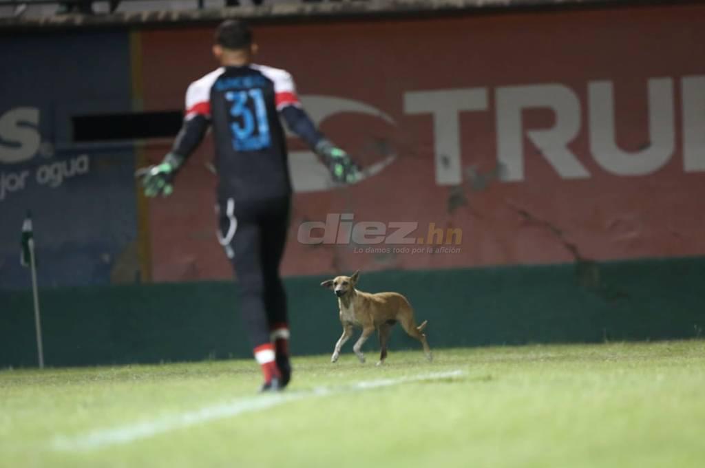 La frustración de Welcome, el festejo del Olancho y el ‘firulais’ en la cancha: así se vivió en fotos la final de la Liga de Ascenso