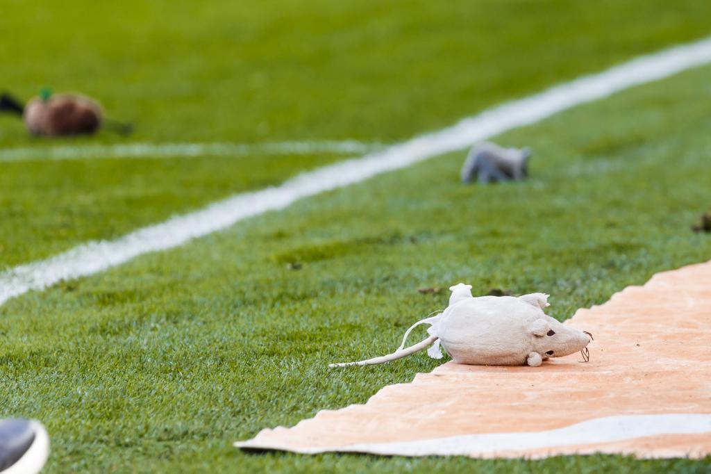 Courtois recuerda el “derbi de las ratas” y su sorpresivo dato contra Atlético que ilusiona al Real Madrid