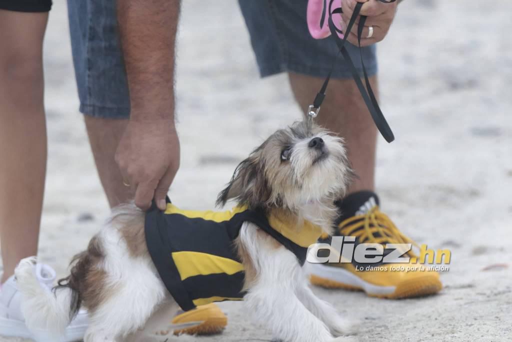 La nueva mascota de La Máquina, sonrisas, bellezas y todo el color durante el amistoso de Real España en Choloma