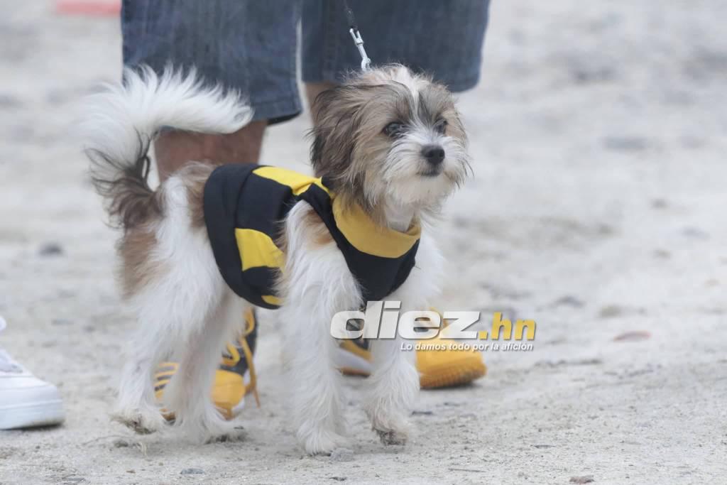 La nueva mascota de La Máquina, sonrisas, bellezas y todo el color durante el amistoso de Real España en Choloma