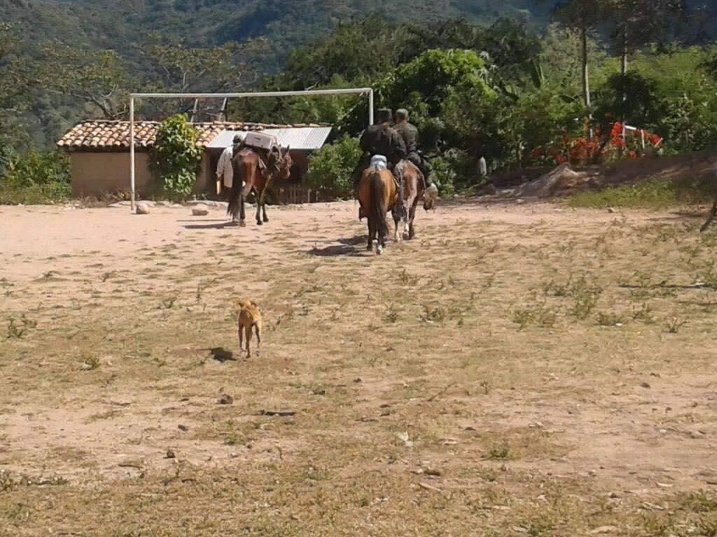 ¡En barco, avión y en burro! Así se trasladaron las maletas electorales a los lugares más recónditos de Honduras