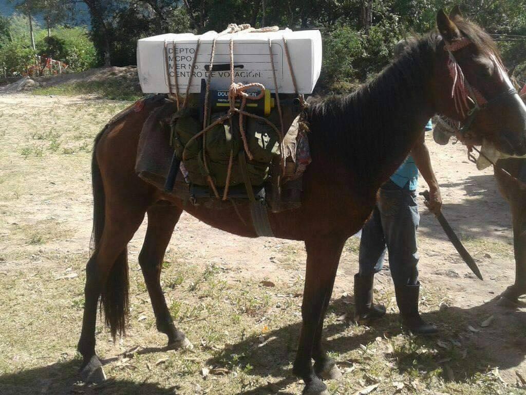 ¡En barco, avión y en burro! Así se trasladaron las maletas electorales a los lugares más recónditos de Honduras