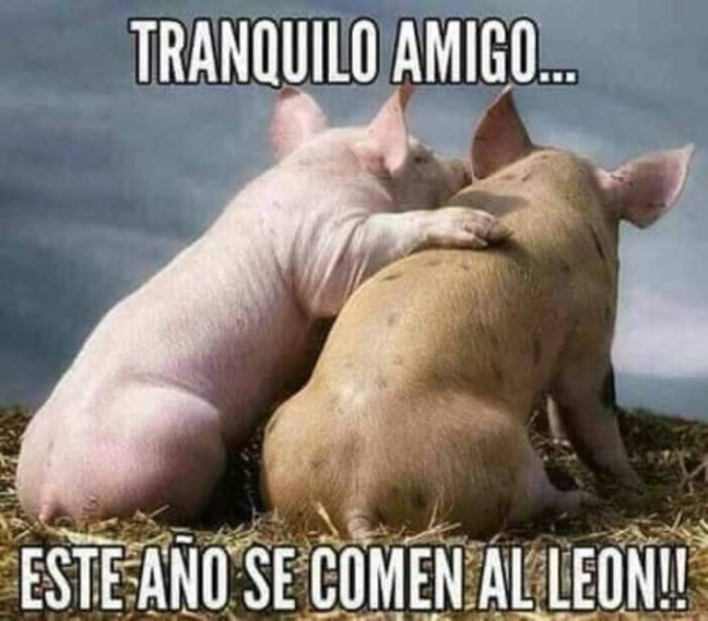 Burlas: Trituran con memes al Olimpia tras perder la final ante Motagua