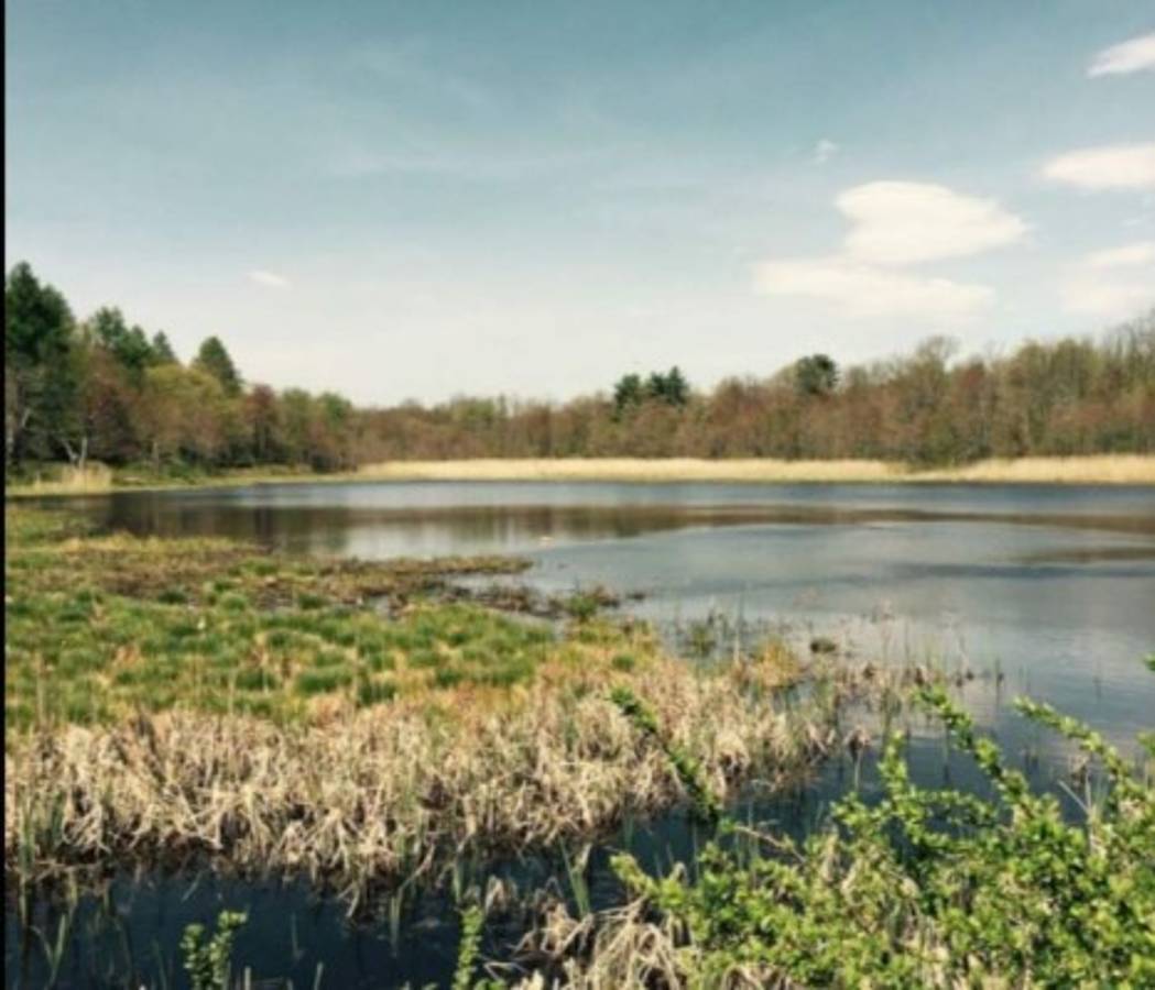 Leyenda de tenis pone en venta su majestuosa mansión: con 10 habitaciones y lago propio en 16$ millones