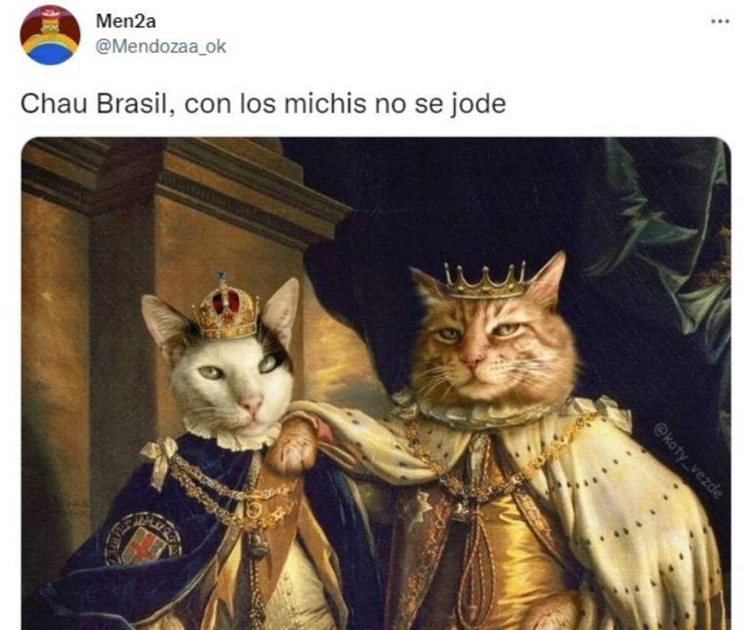 La venganza del michi: memes destrozan a Brasil tras quedar eliminado del Mundial ante Croacia