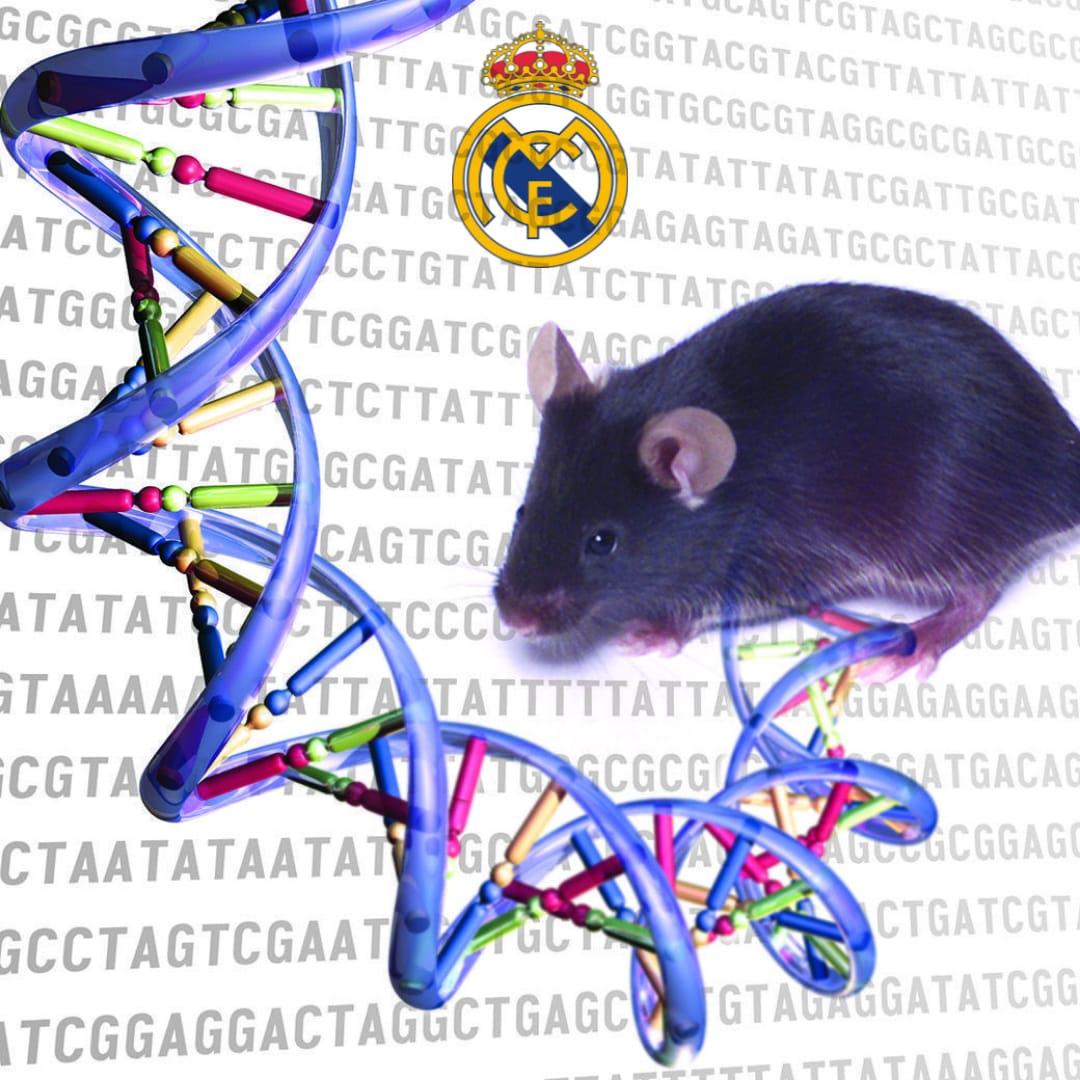 Barcelona, el árbitro y Benzema son protagonistas: Los jocosos memes que dejó la remontada del Real Madrid al Sevilla