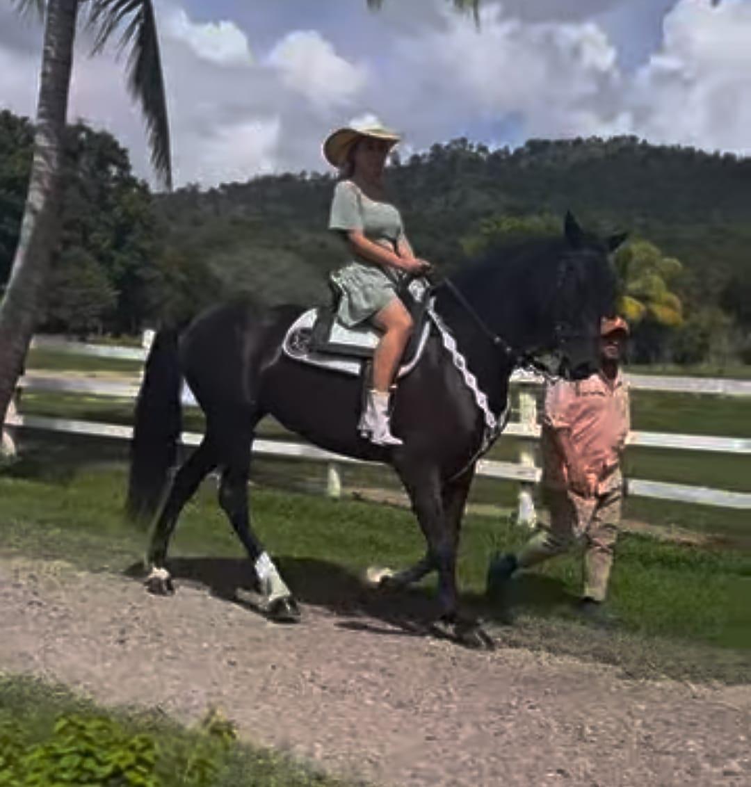Andy Najar decidió casarse antes del inicio del torneo Clausura; así es la bella y afortunada esposa