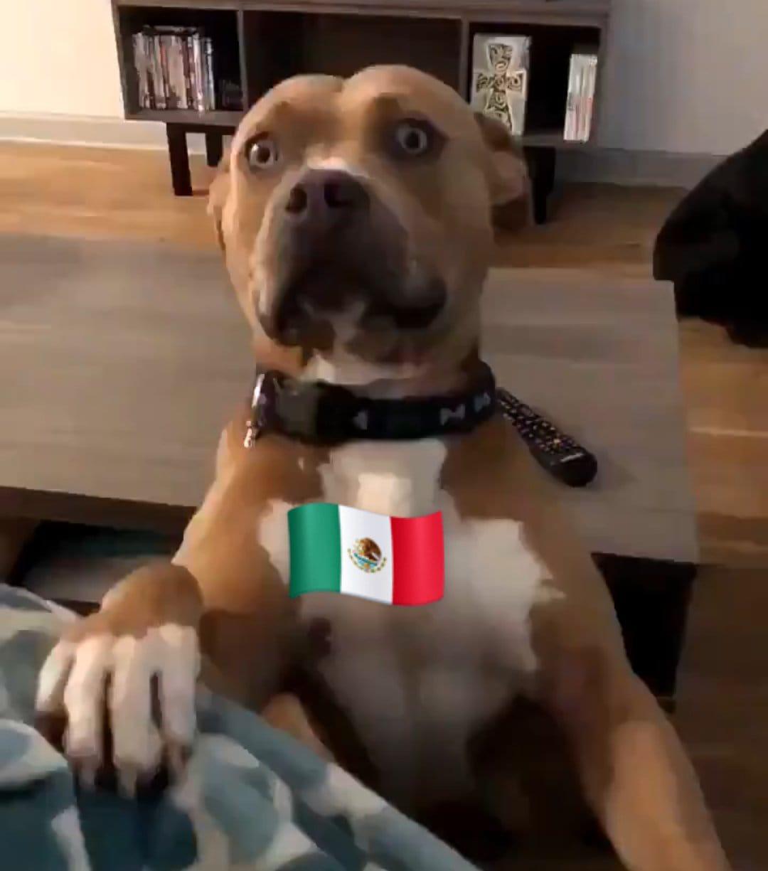 ¡Culpan al VAR! Los memes destrozan a Argentina por la dura derrota contra Arabia Saudita en Qatar 2022