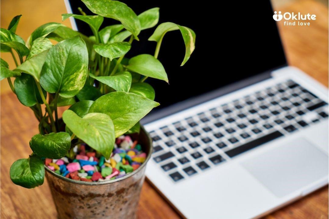 Diseños de espacios de trabajo bien pensados para una producción inspirada