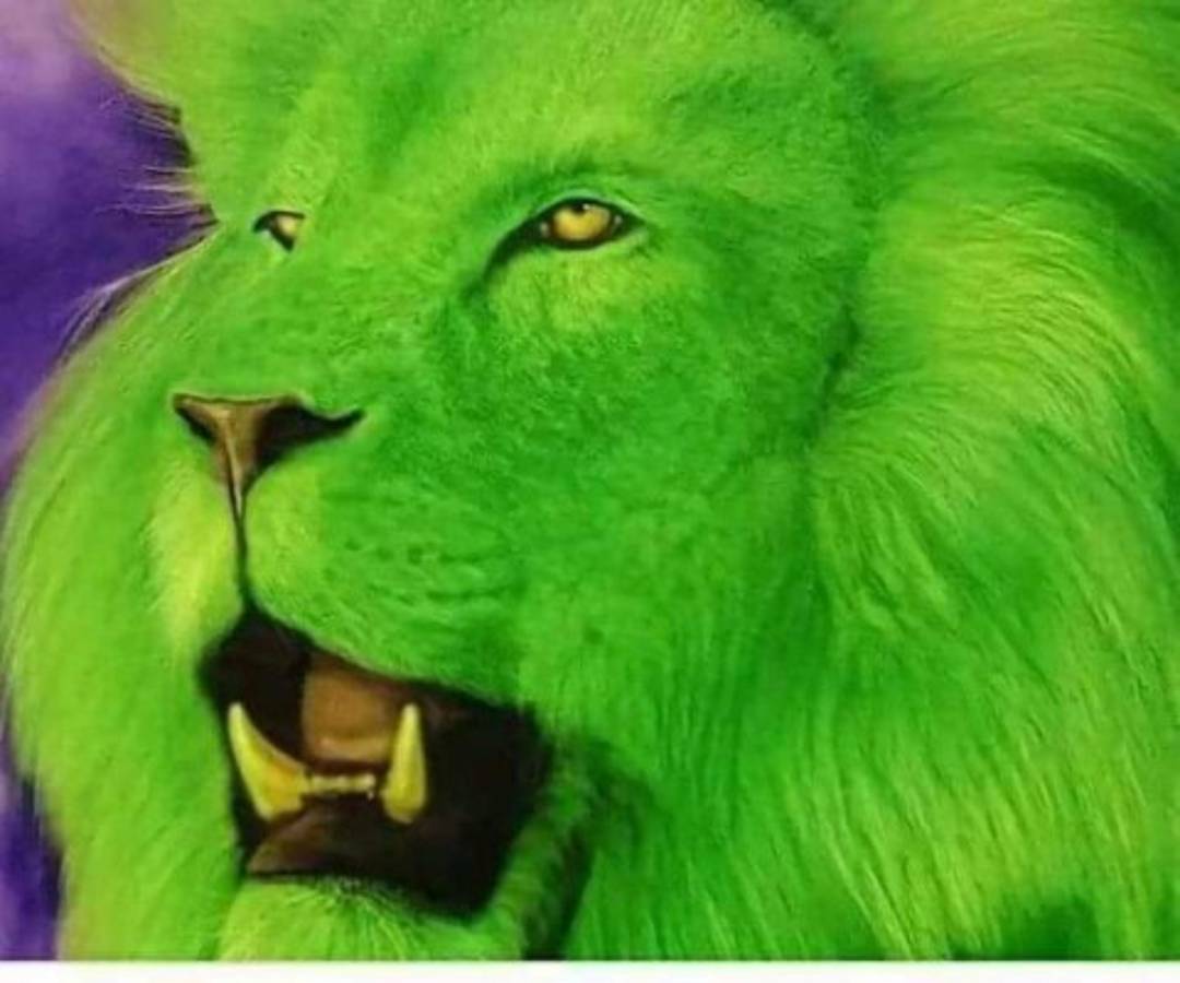 Los memes destruyen al Motagua tras perder la final ante Marathón