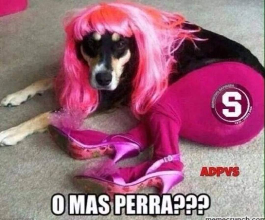 Los memes tras la goleada al Saprissa de Costa Rica