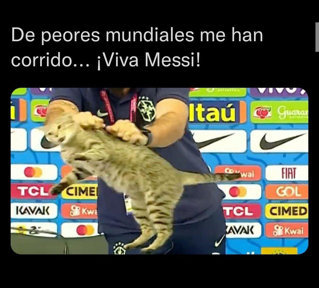 La venganza del michi: memes destrozan a Brasil tras quedar eliminado del Mundial ante Croacia