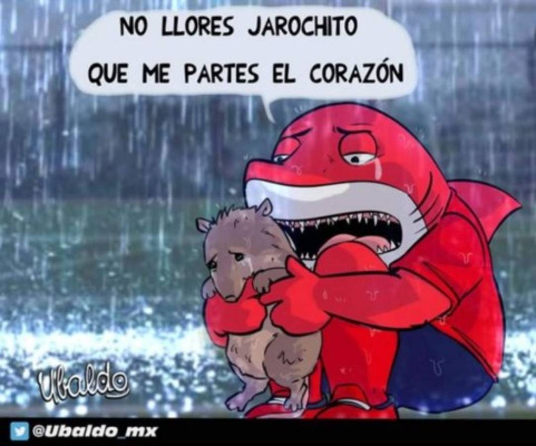 Liga MX: Veracruz es desafiliado y los divertidos memes no perdonan al Tiburón