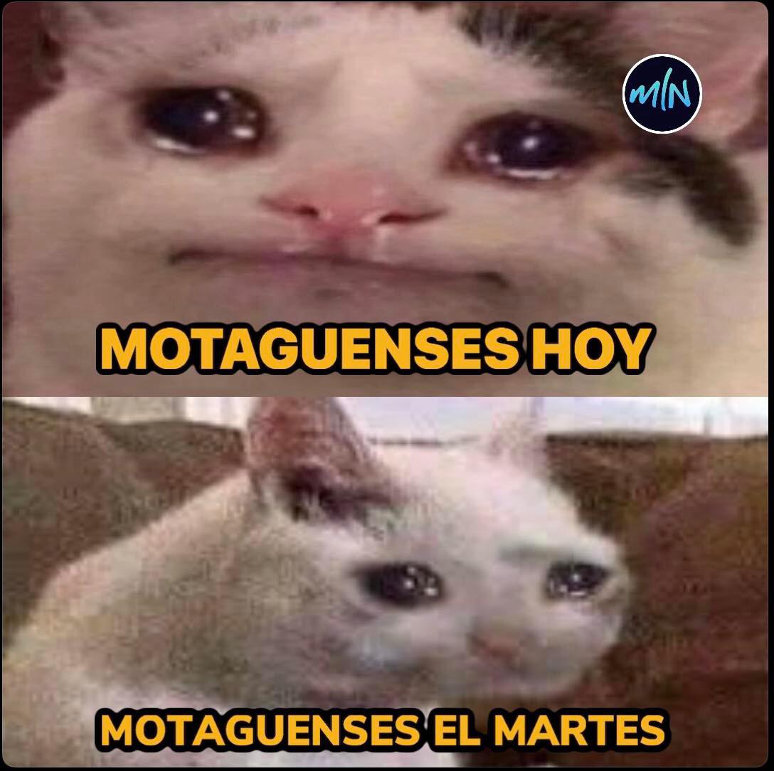 Para morir de risa: Los jocosos memes que dejaron las semifinales donde hacen pedazos a Motagua y Vida