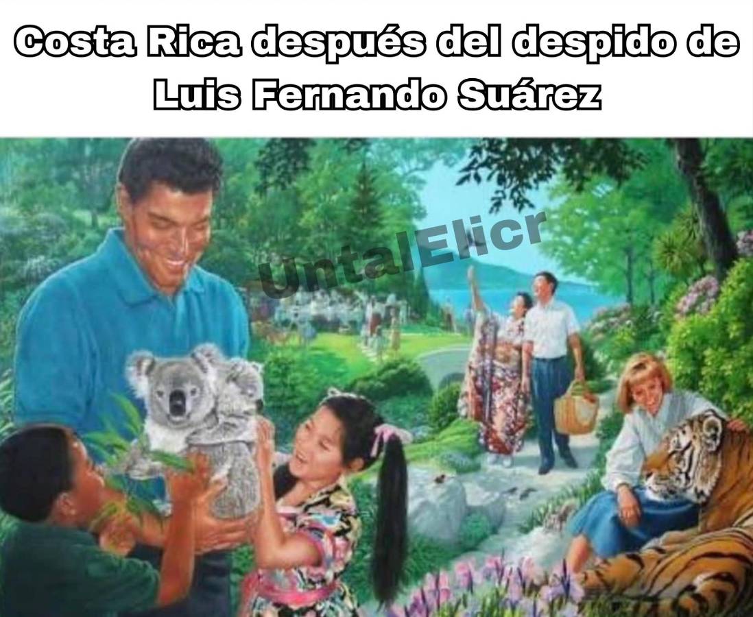 En Costa Rica destrozan con memes a Luis Fernando Suárez tras su despido como técnico de la selección
