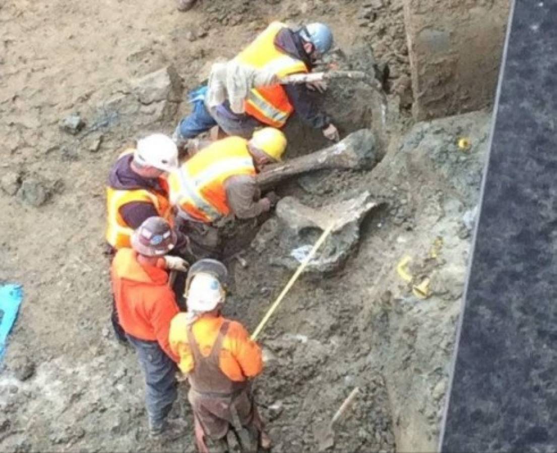 Bombas sin detonar y restos óseos de humano: Hallazgos insólitos en los estadios del mundo