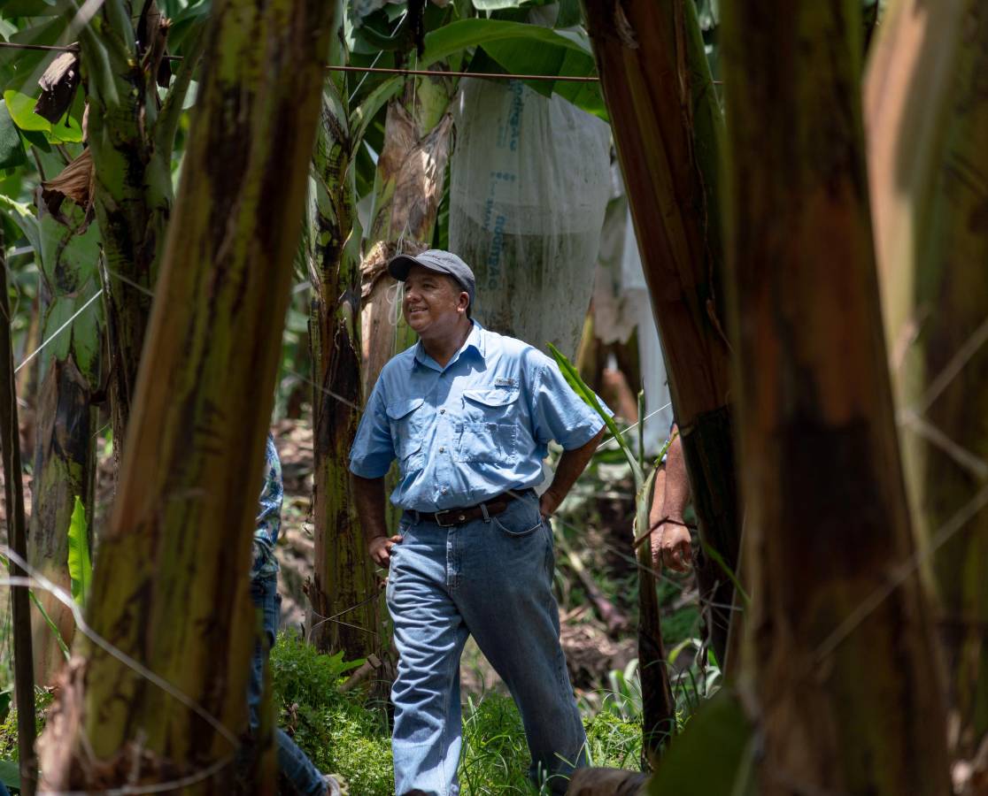 Hugo Molina Botrán comenta sobre las oportunidades que brinda la tecnología en la mejora de la productividad agrícola en Guatemala
