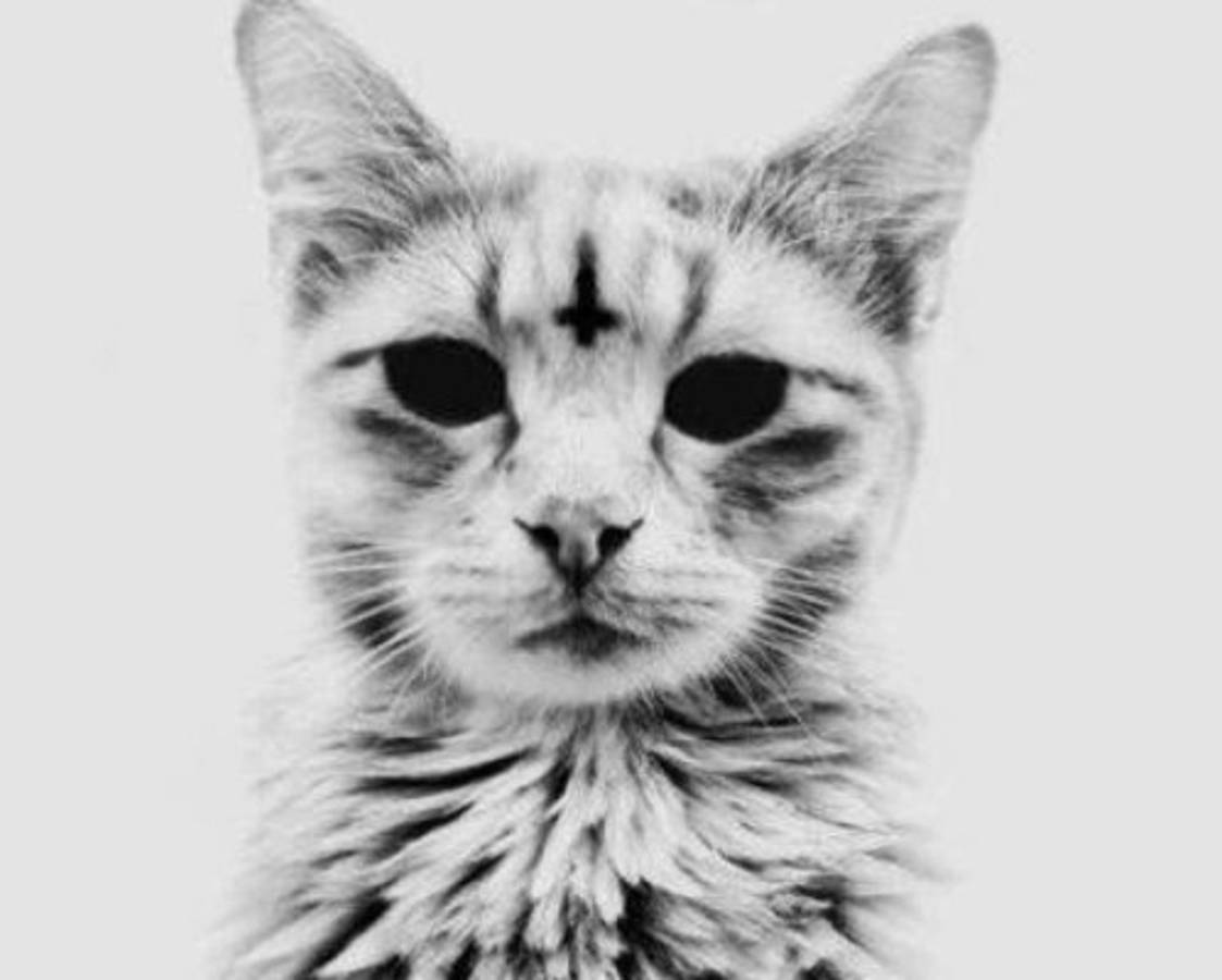 El club tico con 77 años de no ser campeón y otras 'maldiciones' del fútbol