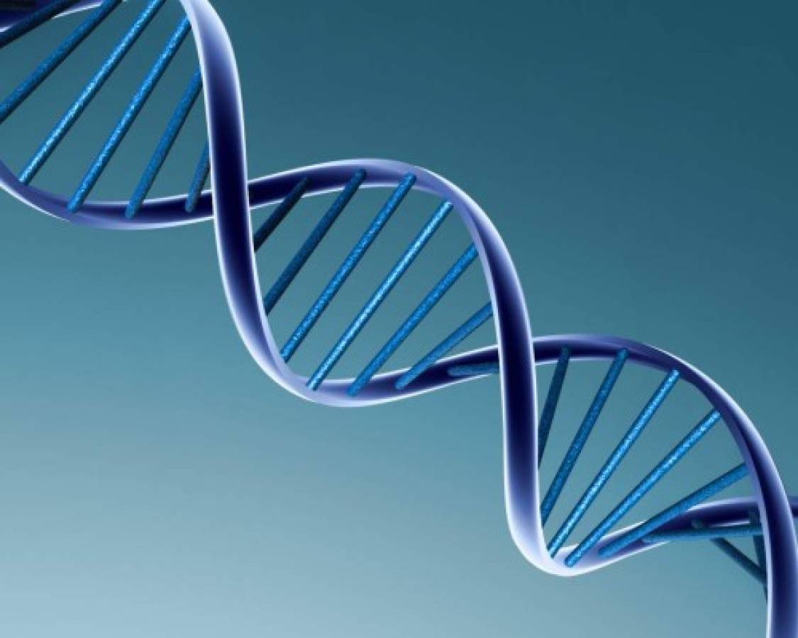 Abierto el primer biobanco de ADN antiguo