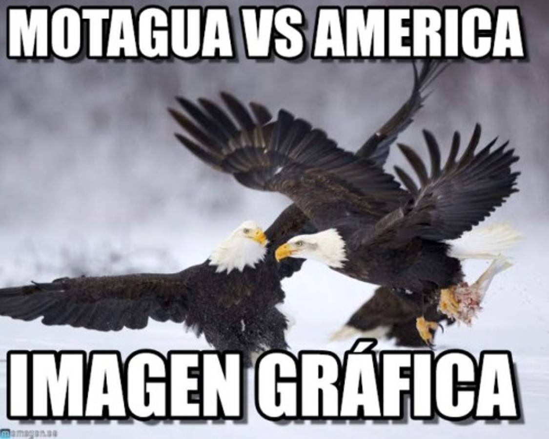 Con memes, así motivan los aficionados a Motagua antes de medirse al América