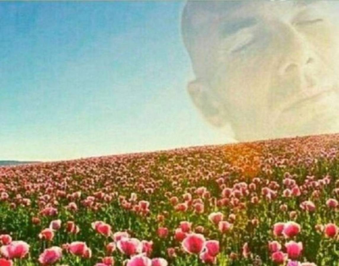 Zidane y Florentino Pérez, víctimas de los memes previo al Clásico Barcelona-Real Madrid