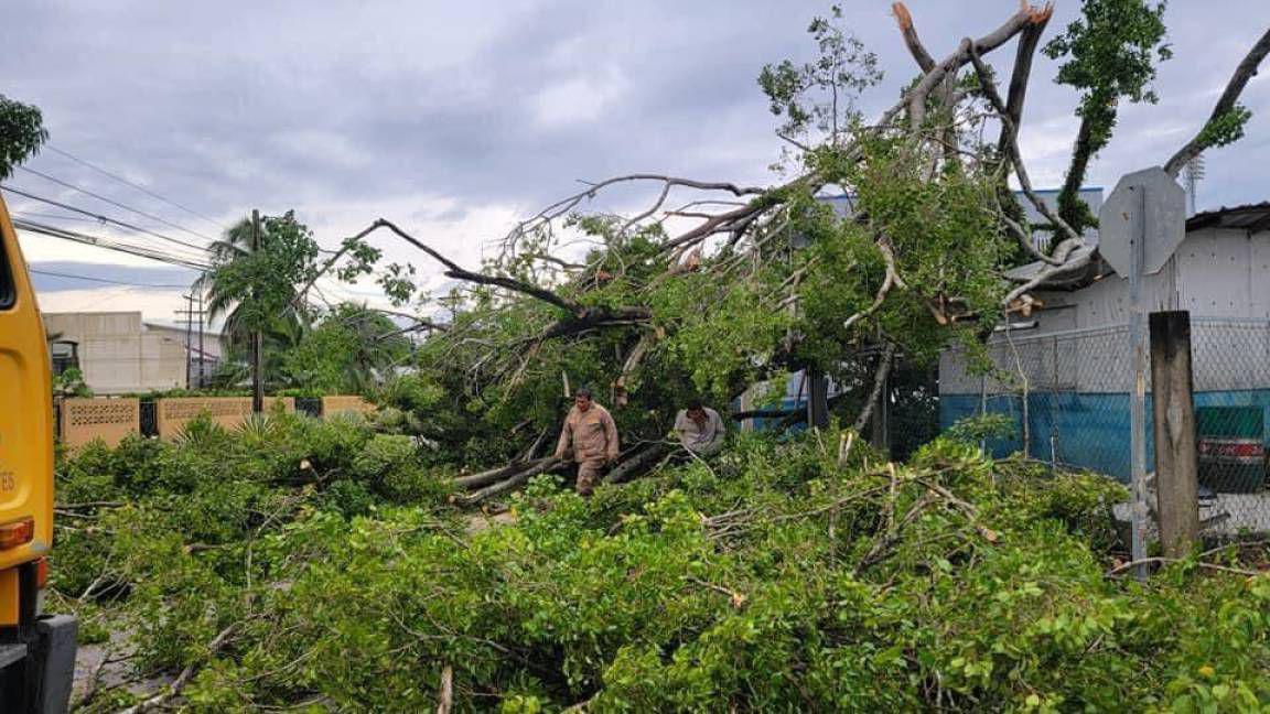 Informe especial: Puerto Cortés fue golpeado por fenómeno natural y así quedaron sus calles: “Perdimos nuestros techos”