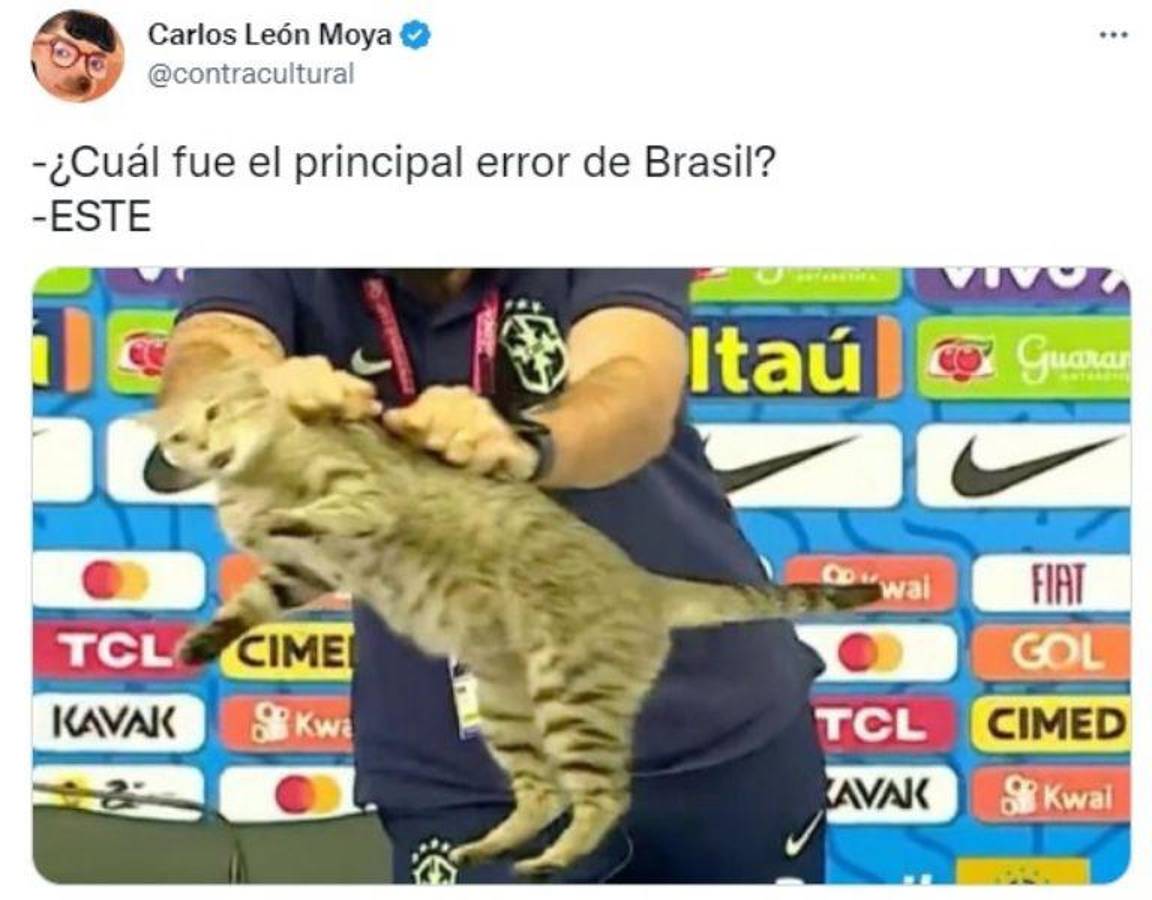 La venganza del michi: memes destrozan a Brasil tras quedar eliminado del Mundial ante Croacia