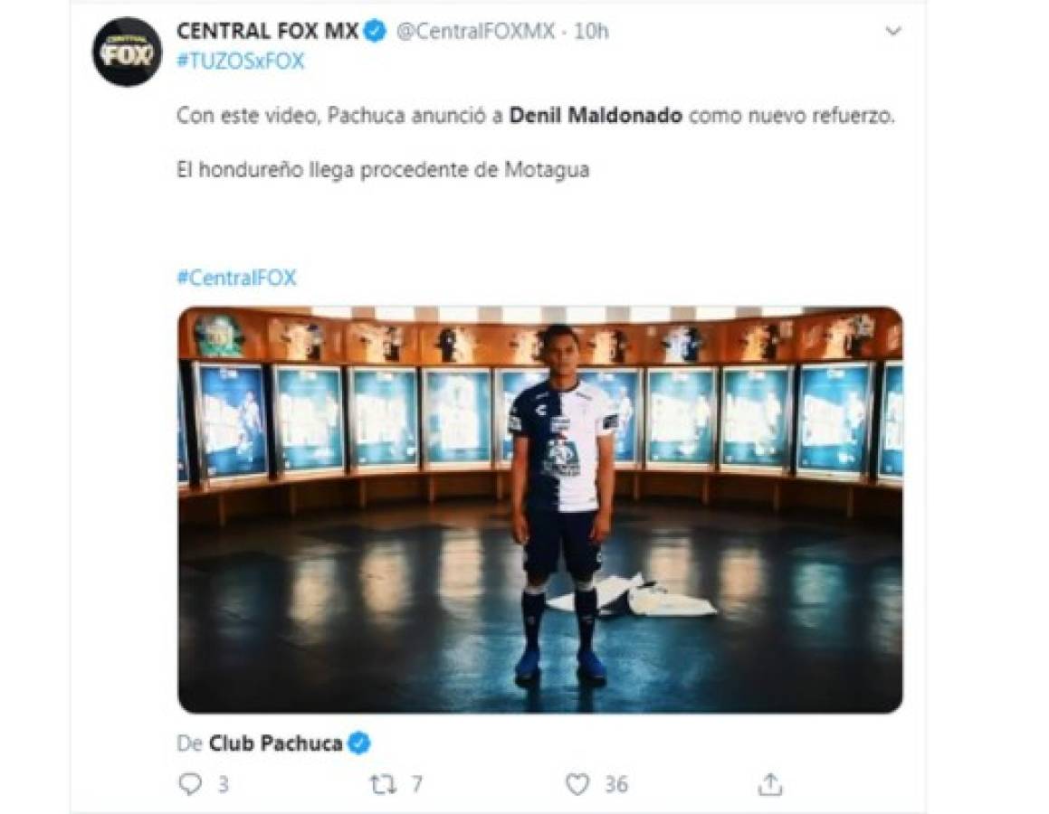 Denil Maldonado: Prensa y periodistas mexicanos hablan sobre el hondureño del Pachuca