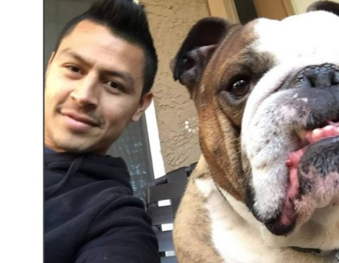 Los espectaculares perros de los futbolistas en el #DíaDelPerro